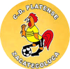 https://img.wachx.com/img/football/team/63b0933cc303927659846a4ed54b1522.png